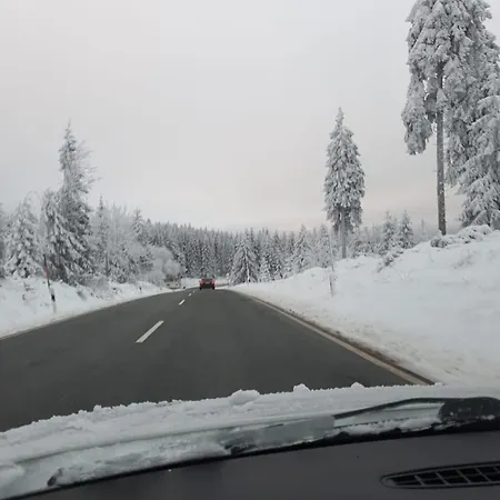 住宿加早餐酒店 Unik Villa- Luxus Appartemente Im Oberharz 4*