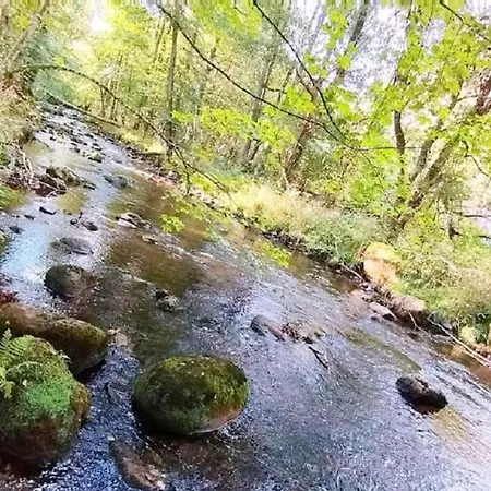 Unik Villa- Luxus Appartemente Im Oberharz 圣安德里斯伯格