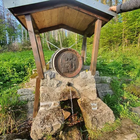 Unik Villa- Luxus Appartemente Im Oberharz 住宿加早餐酒店