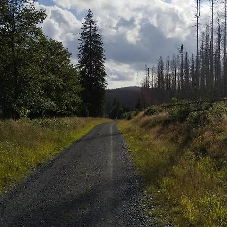 Unik Villa- Luxus Appartemente Im Oberharz 住宿加早餐酒店