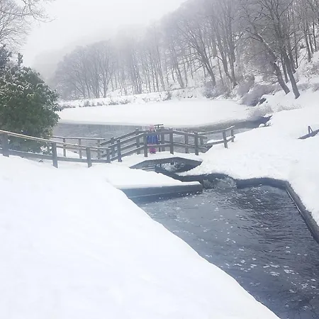 Unik Villa- Luxus Appartemente Im Oberharz 住宿加早餐酒店 圣安德里斯伯格