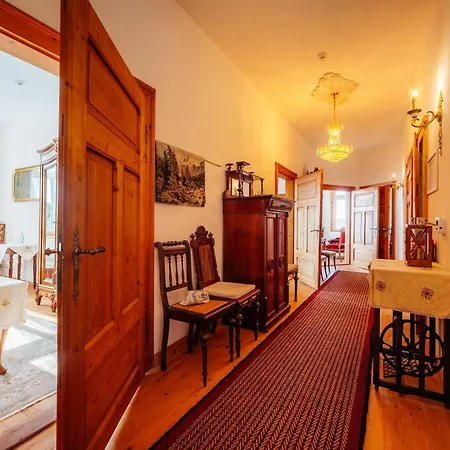 Unik Villa- Luxus Appartemente Im Oberharz 圣安德里斯伯格